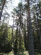 IMG_8672