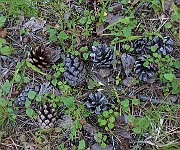 IMG_8673