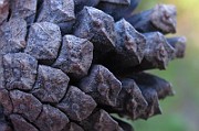IMG_8674