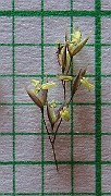 IMG_4361