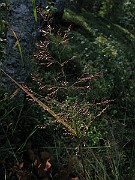 IMG_4930