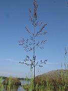 IMG_5008