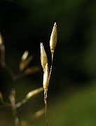 IMG_5486