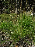 IMG_5488