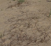 IMG_9955