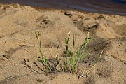 IMG_0800