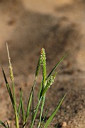 IMG_0801