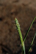 IMG_0919