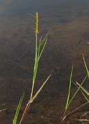 IMG_1802