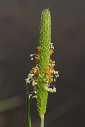 IMG_1805