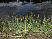 IMG_1817