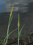 IMG_1821
