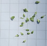 IMG_0147
