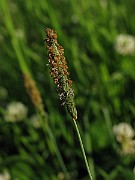 IMG_1550