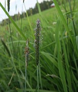 IMG_0114