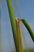 IMG_4996