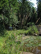 IMG_8576