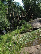 IMG_8578