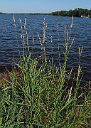 IMG_8725