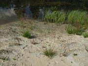 IMG_2121