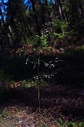 IMG_2406