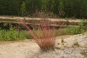 IMG_0581