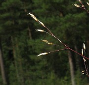 IMG_2129b