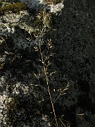 IMG_4393