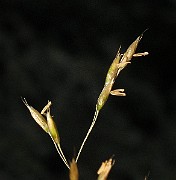 IMG_4397
