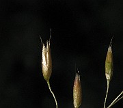 IMG_4405
