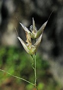 IMG_4514