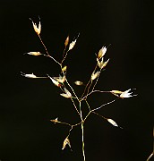 IMG_9913