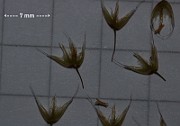 IMG_9974