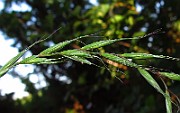 IMG_2615