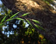 IMG_2620