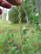 IMG_8357