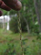 IMG_8359