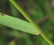 IMG_8360
