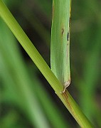IMG_8361