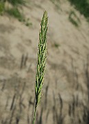 IMG_0045