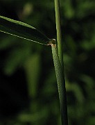 IMG_1567