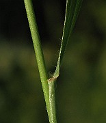 IMG_1568