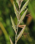 IMG_1570