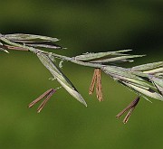 IMG_1586