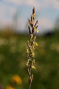 IMG_5772