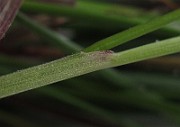 IMG_0089
