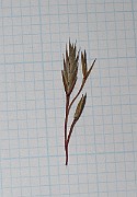 IMG_0101