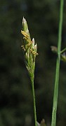 IMG_9005