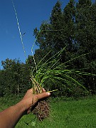 IMG_9006