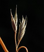 IMG_4721